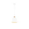 Kép 1/5 - Trio Jagger R30681031 modern függeszték