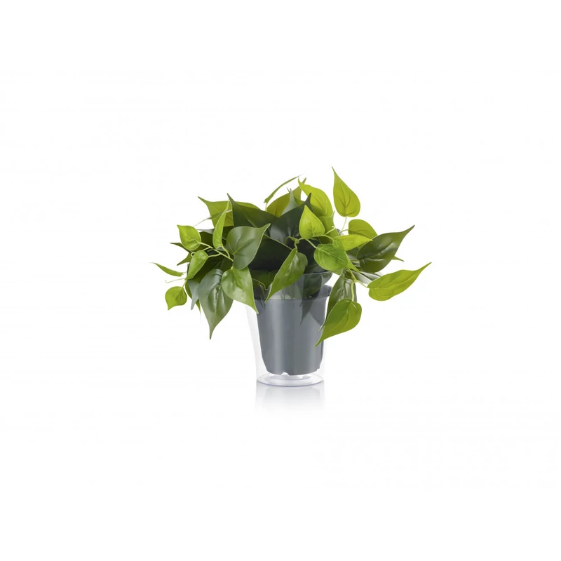 Trio PLANT 92945 hangulatfény -