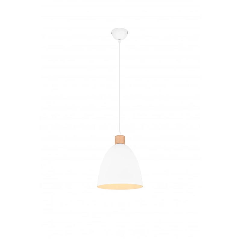 Trio Jagger R30681031 modern függeszték
