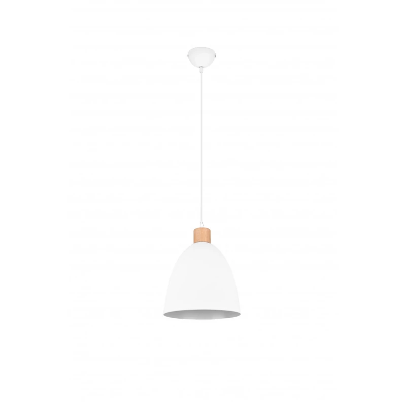 Trio Jagger R30681031 modern függeszték