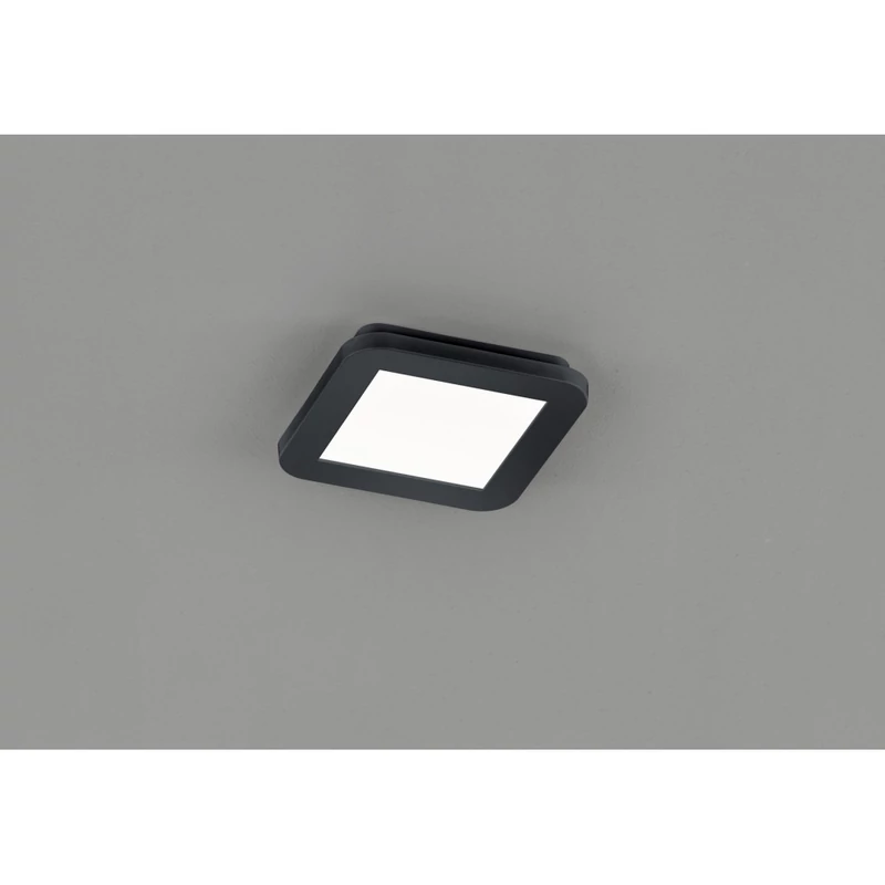 Trio CAMILLUS R62931032 mennyezeti lámpa incl. 10W LED/ 3000K/ 850Lm