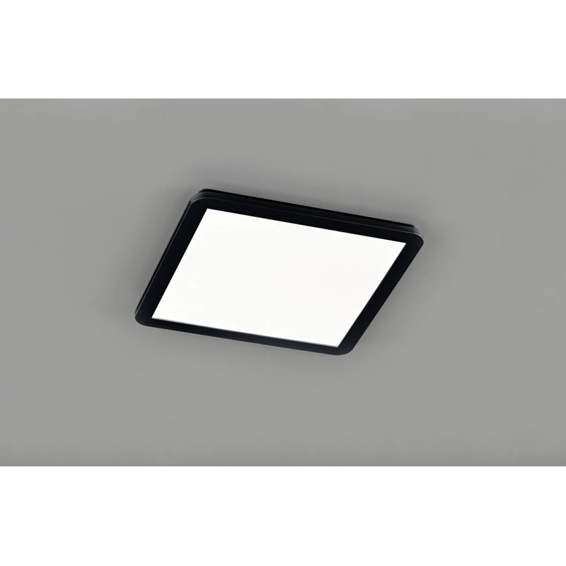 Trio CAMILLUS R62932032 mennyezeti lámpa incl. 24W LED/ 3000K/ 2000Lm